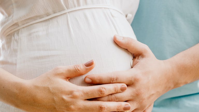 Healthful Beginnings: A Guide to Mom and Baby Wellness in Pregnancy