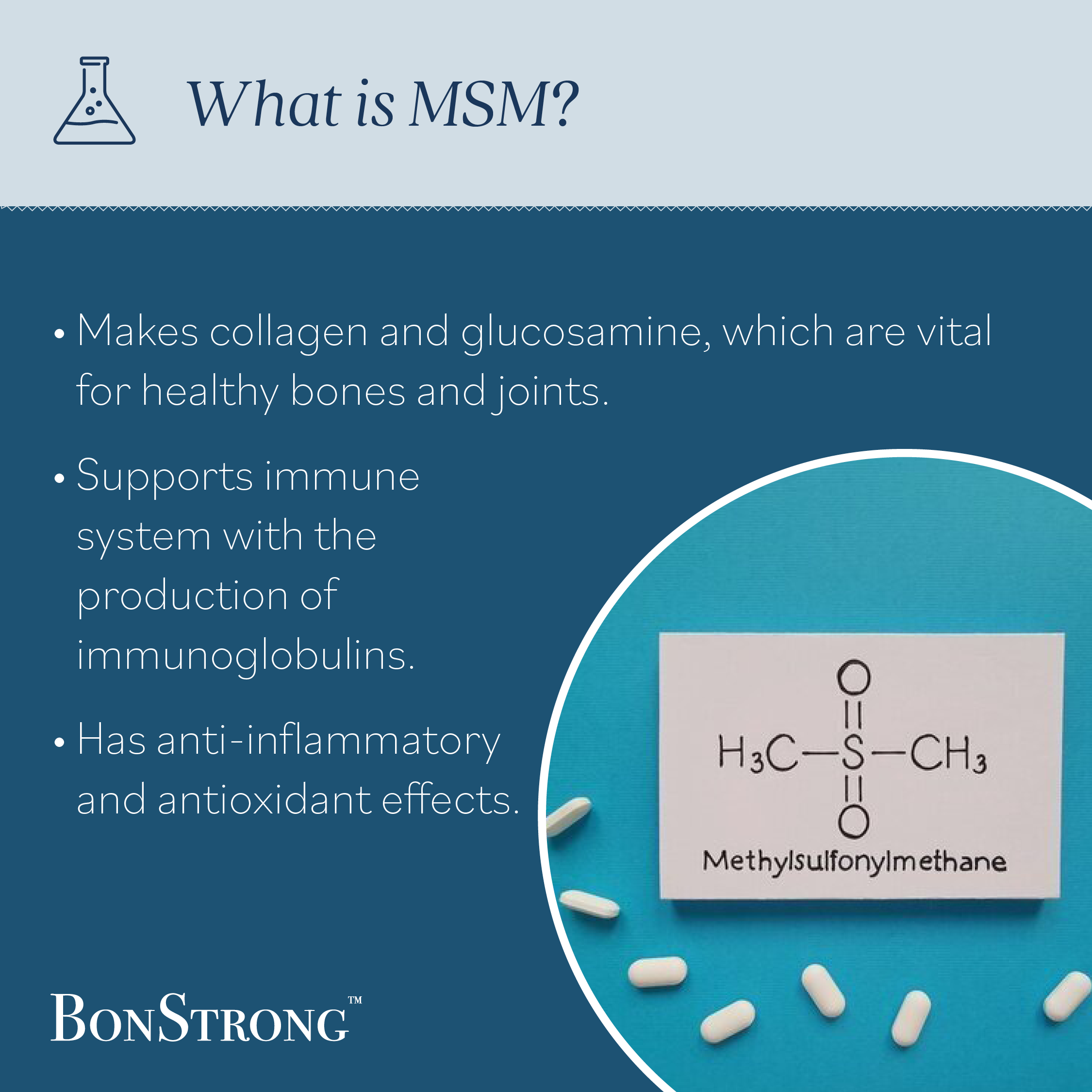 BonStrong Nano Calcium & MSM