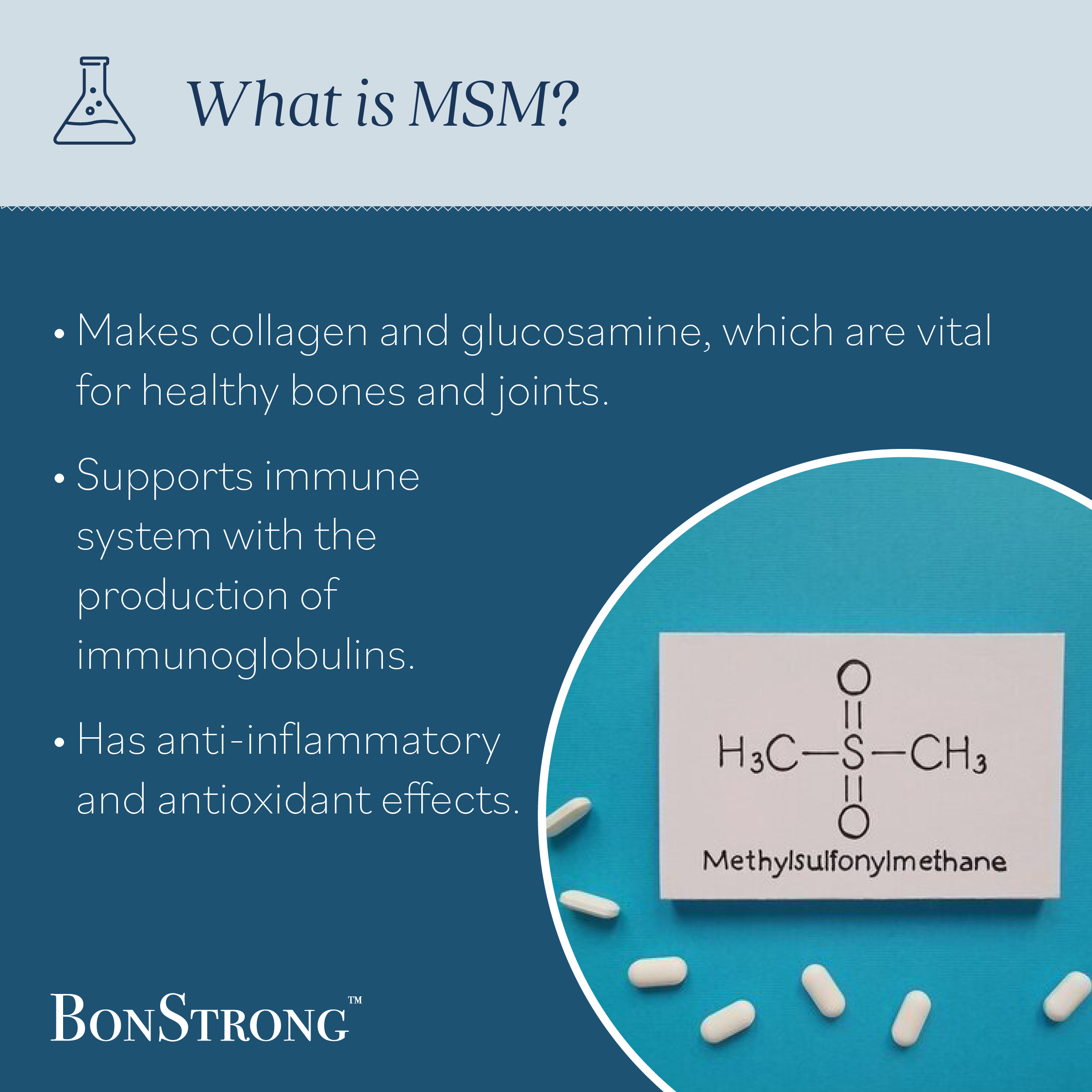 BonStrong Nano Calcium Magnesium & MSM Supplements